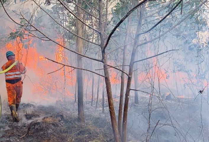 Bantuan Untuk Relawan Pemadam Kebakaran Lahan di Kalsel
